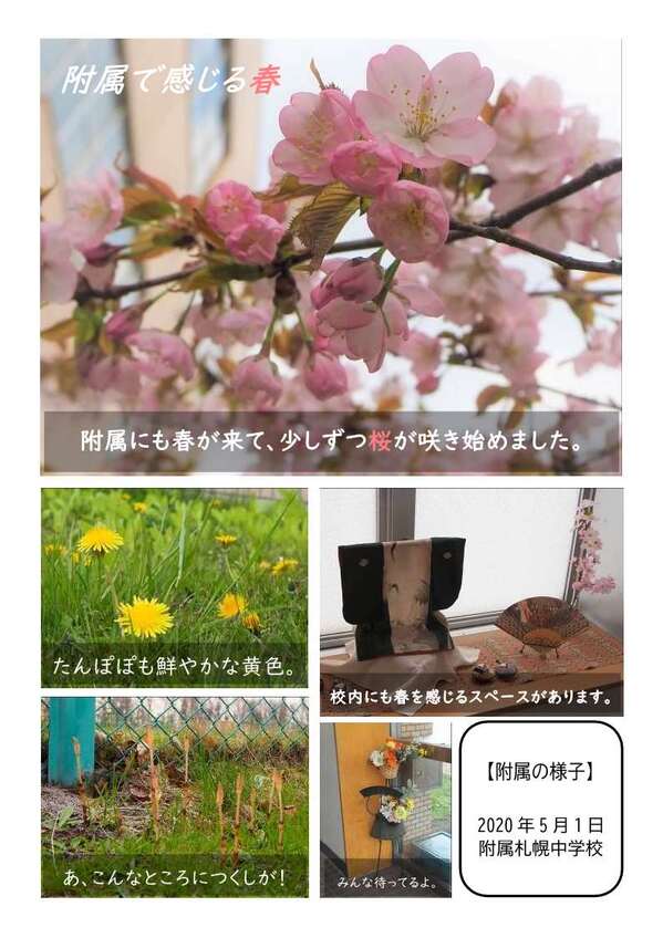 spring2.jpg